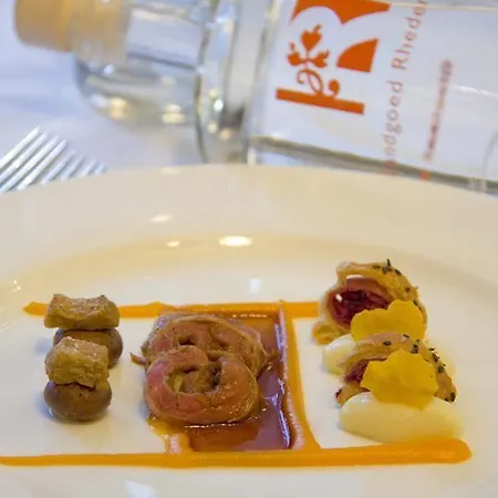 Hotel Landgoed Rhederoord Nabij Arnhem De Steeg