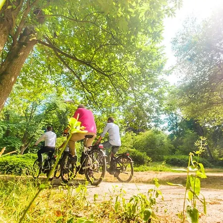 Landgoed Rhederoord Nabij Arnhem De Steeg
