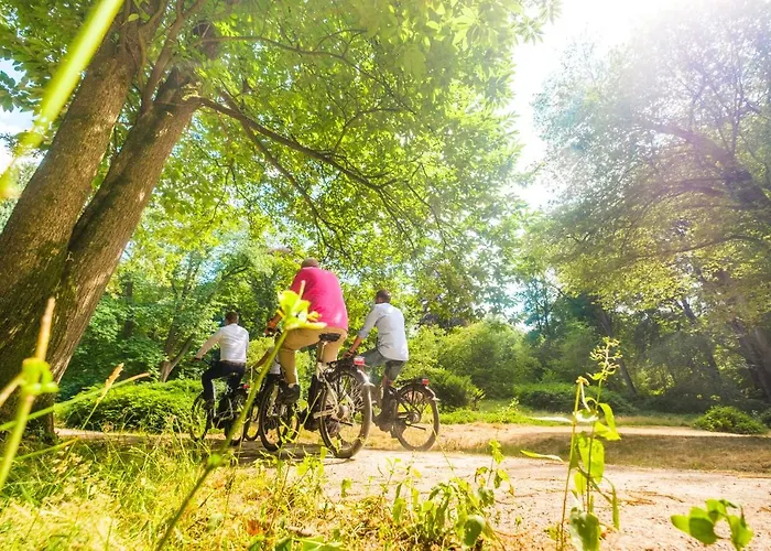 Landgoed Rhederoord Nabij Arnhem De Steeg