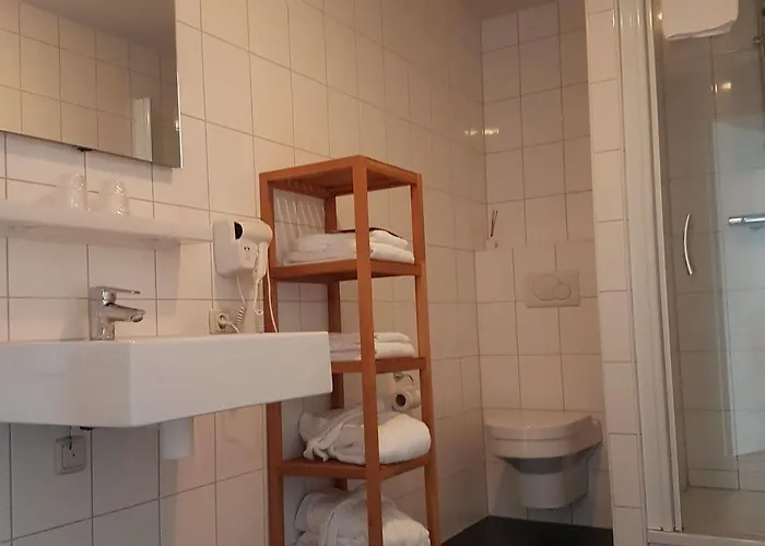 Landgoed Rhederoord Nabij Arnhem 4* De Steeg